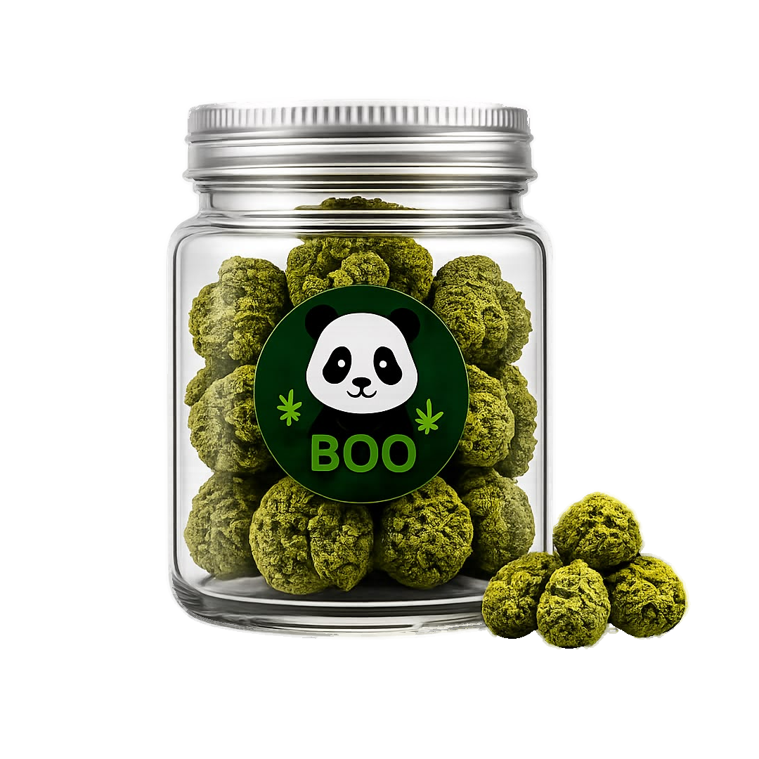 Oz Indoor Premium